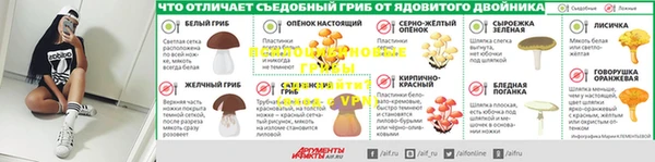 гашик Беломорск