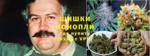 гашик Беломорск