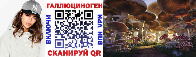 даркнет официальный сайт mega маркетплейс Заречный Галлюциногенные грибы Magic Shrooms